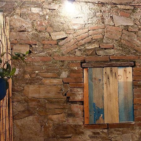 Happy Lucca Casa Vacanze 外观 照片